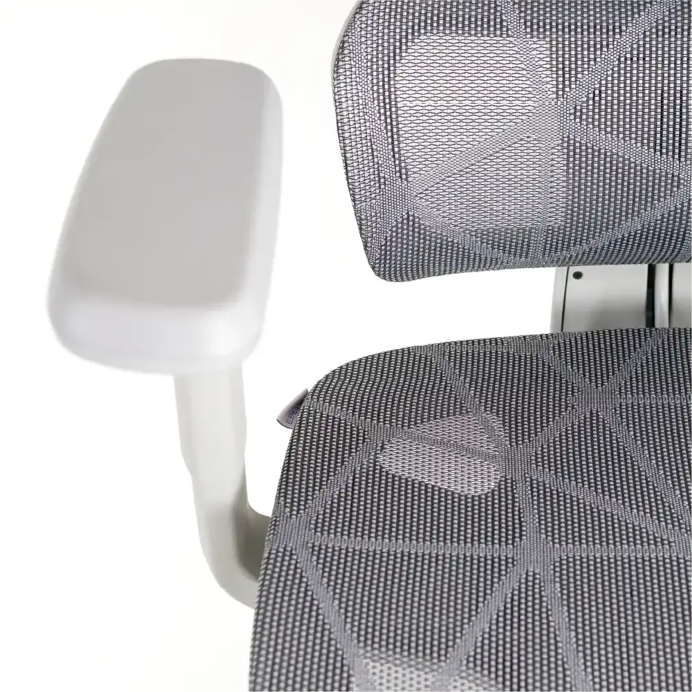 Cadeira Ergonômica Elements Siggy